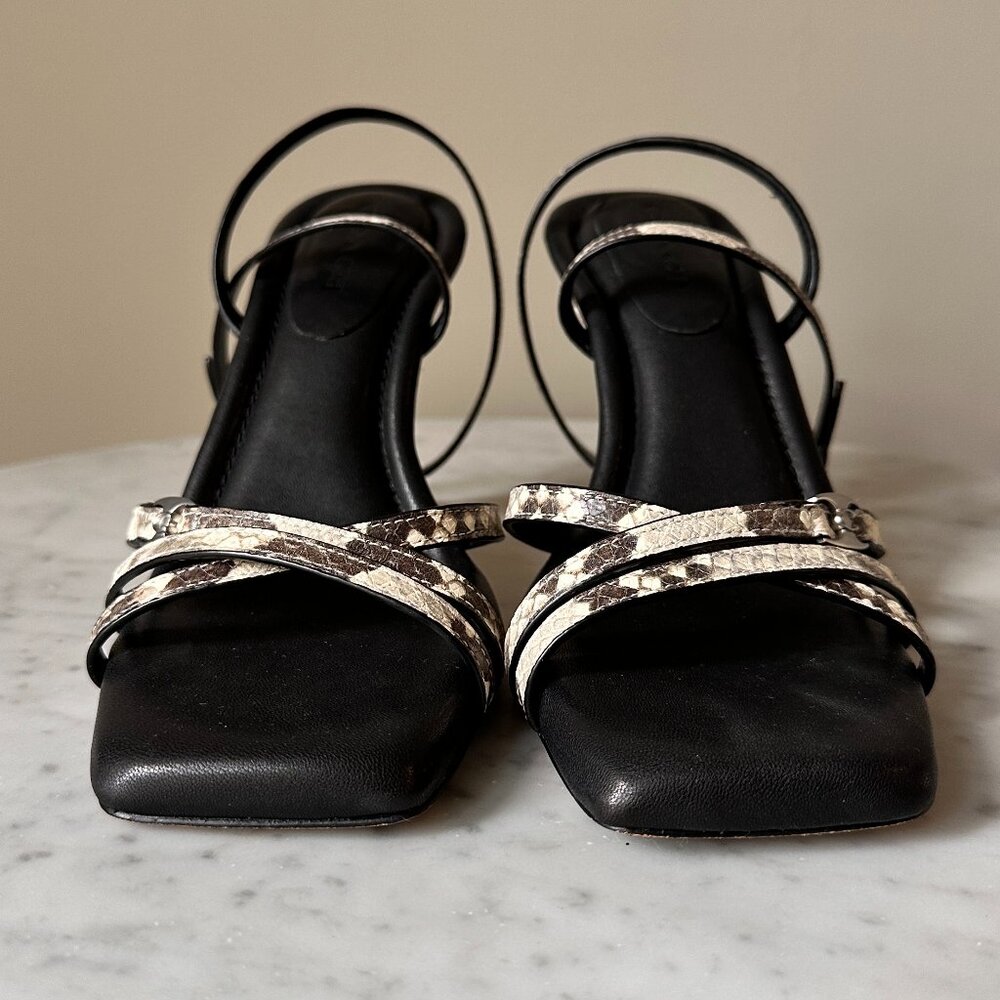COACH | Grey Snakeskin Sculpted C Kitten Heels  with Square Toe  7.5- Elegant - Picture 5 of 13